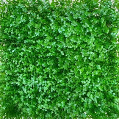 پنل 50*50 گرین وال شمشاد ریز